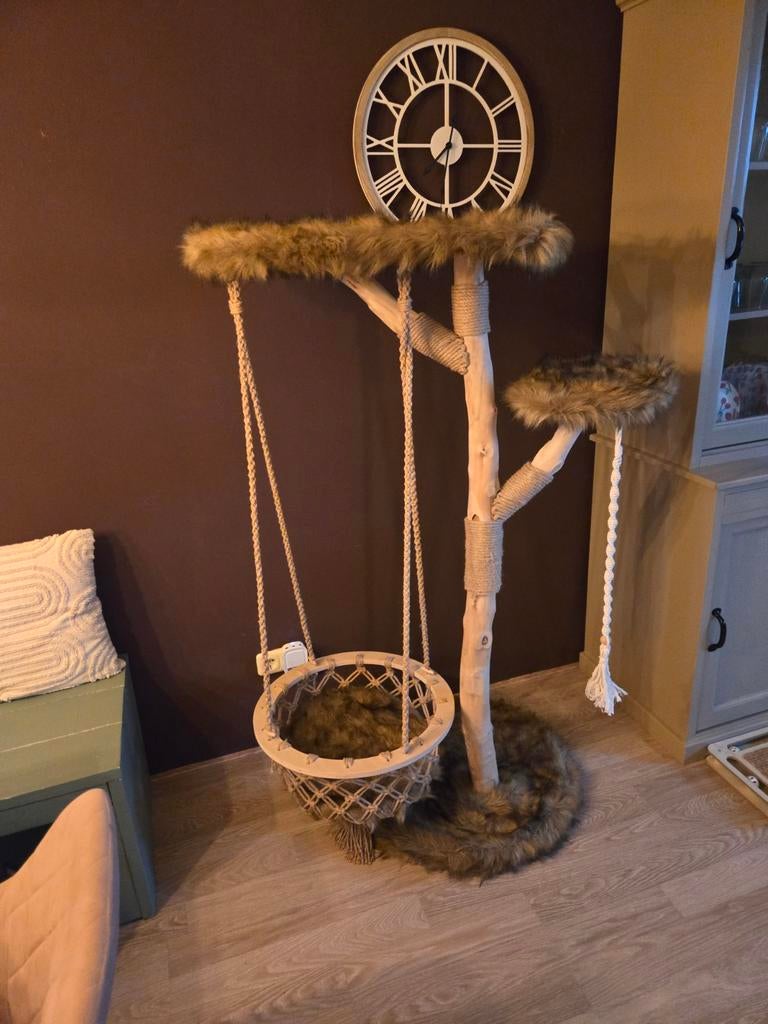 Mooie krabpaal, Ophalen