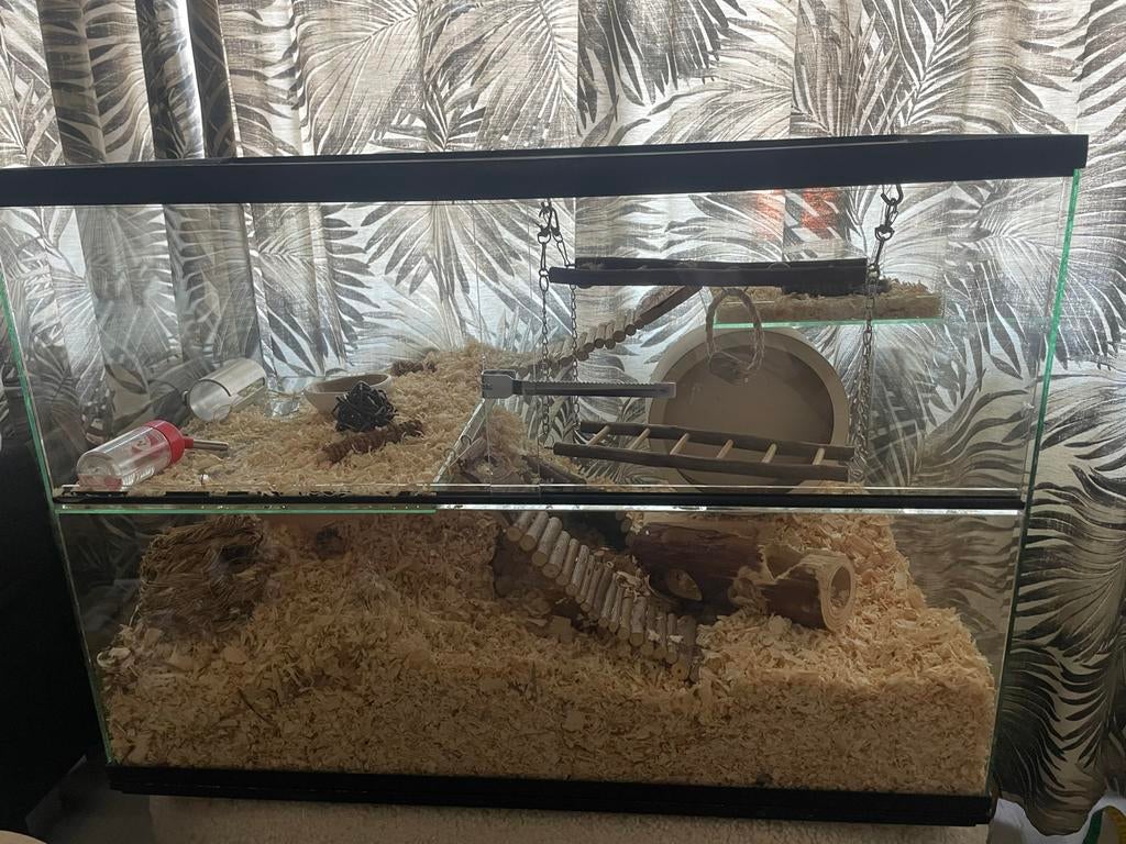 Hamsterkooi, Kooi, Gebruikt, Minder dan 75 cm, Hamster