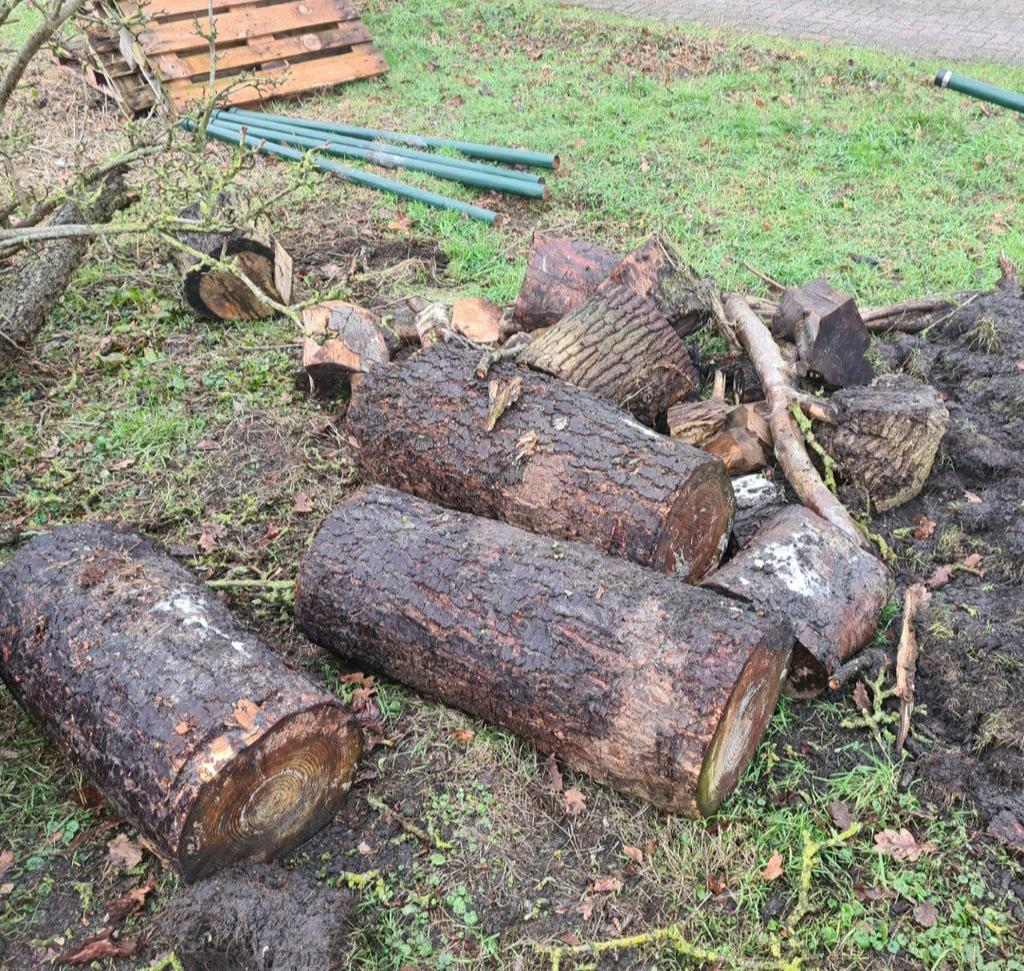 Brandhout  haardhout stammen, Minder dan 3 m³, Ophalen