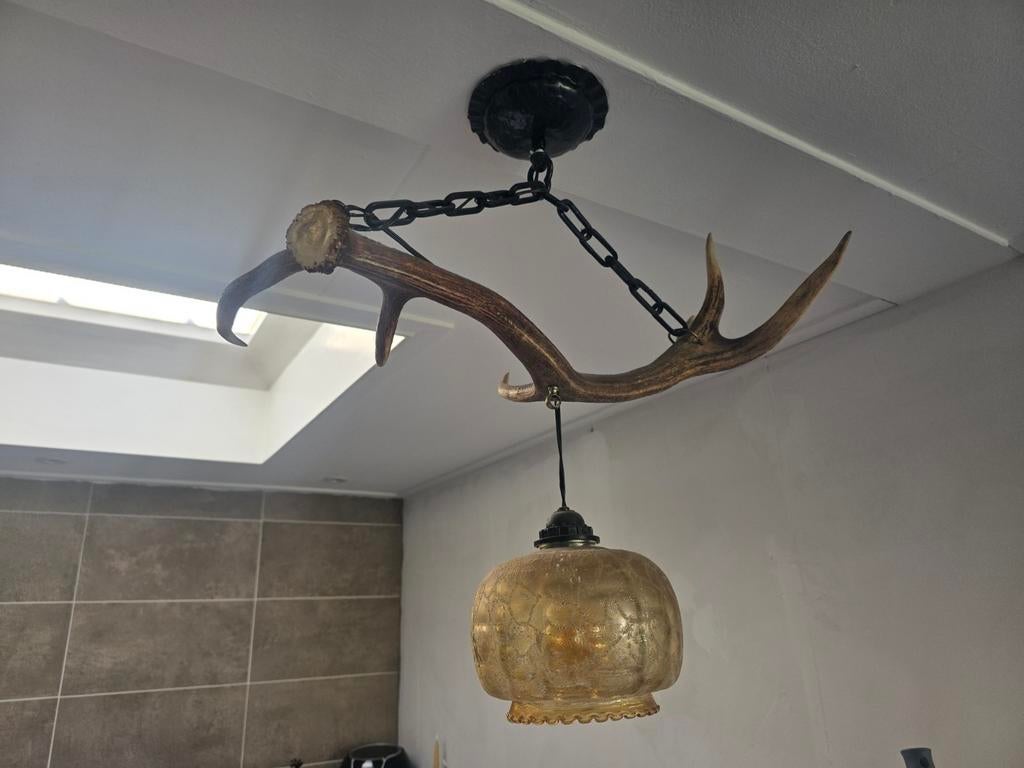 Unieke Gewei Kroonluchter met Glazen Lamp, Gebruikt, 50 tot 75 cm, Ophalen of Verzenden, Rustiek, Landelijk, Uniek