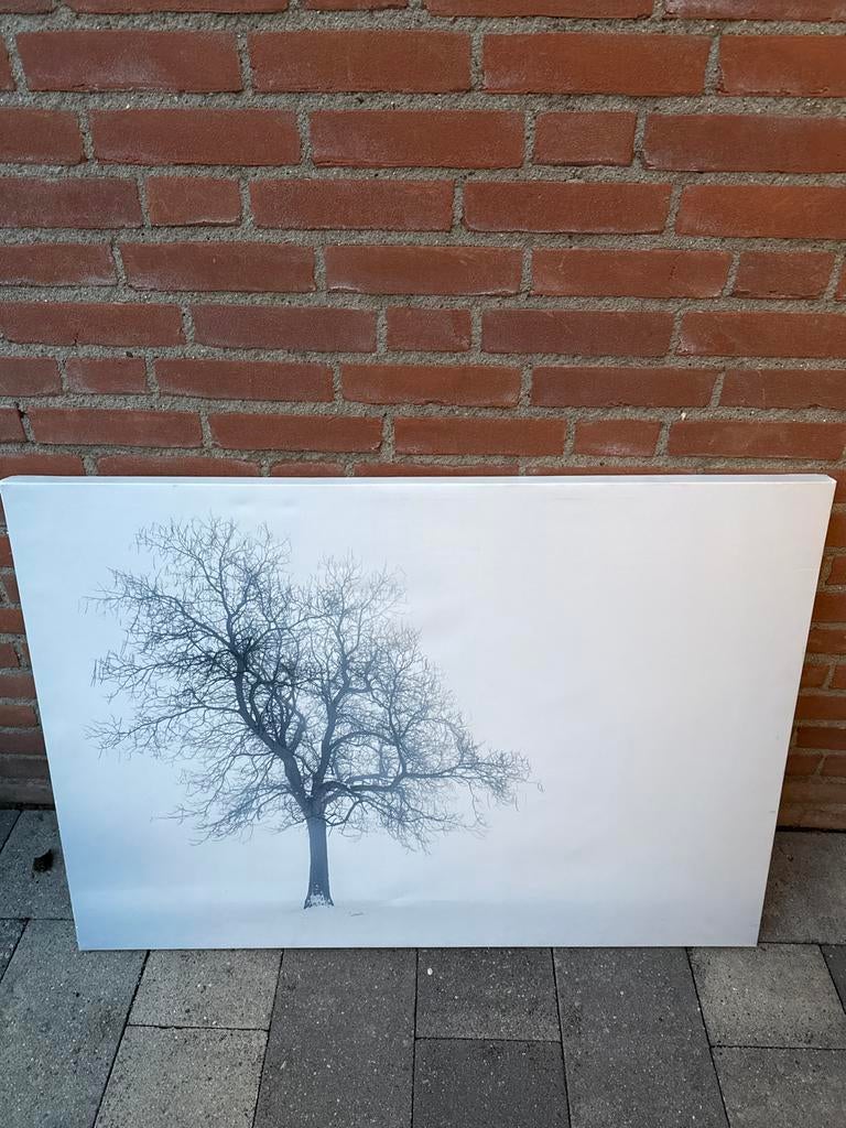 Schilderij, Ophalen, Gebruikt, 50 tot 75 cm, Schilderij