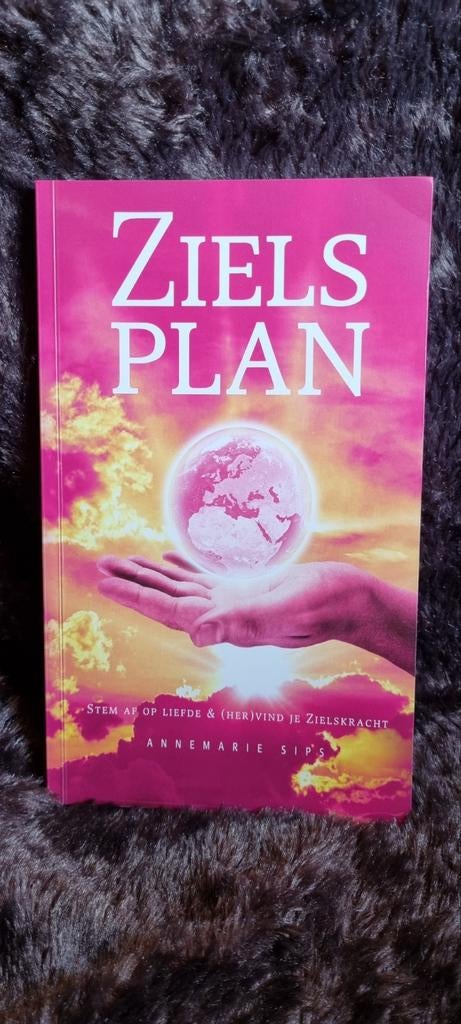Zielsplan: Stem af op liefde & (her)vind je zielskracht, Spiritualiteit algemeen, Ophalen of Verzenden, Zo goed als nieuw, Annemarie Sips