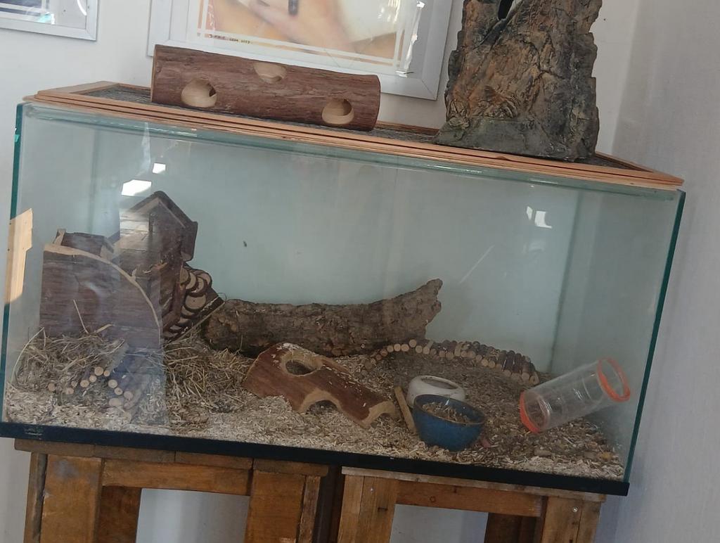 hamster hok, Gebruikt, 60 tot 90 cm, Minder dan 75 cm, Ophalen of Verzenden