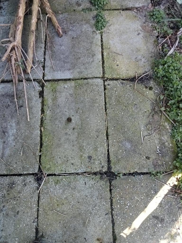 Grindtegels, Tuin en Terras, Ophalen, Gebruikt, Beton, Terrastegels