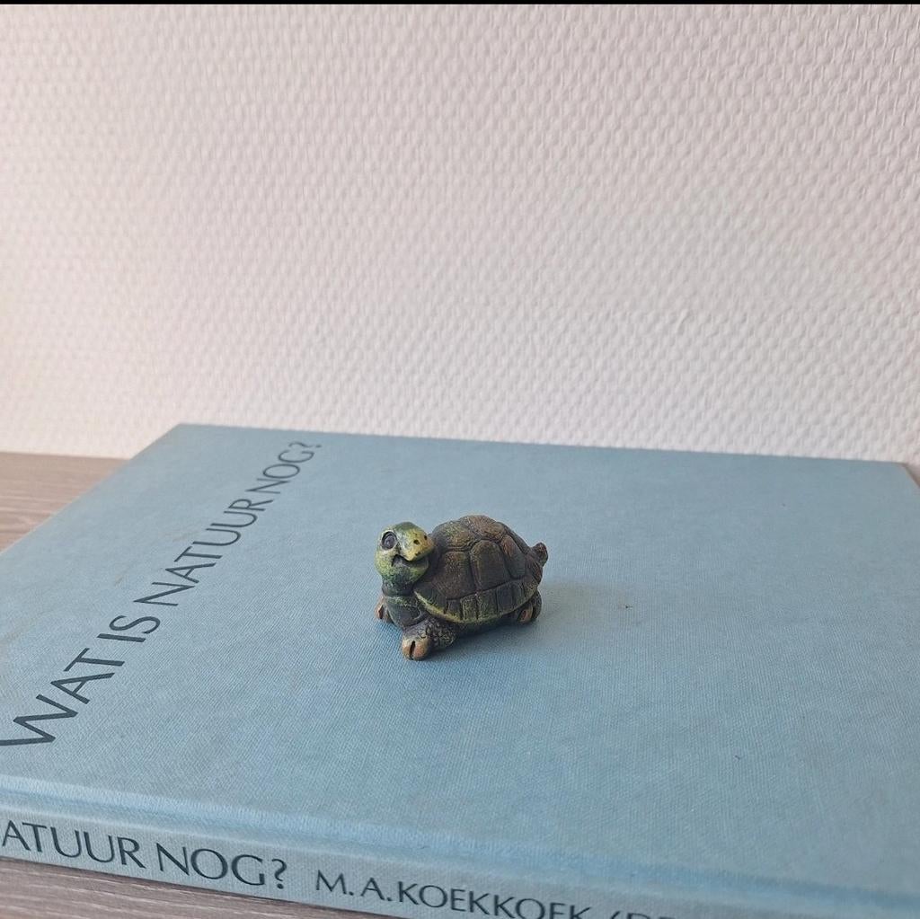 Leuk schildpad beeldje, Ophalen of Verzenden, Zo goed als nieuw, Dier