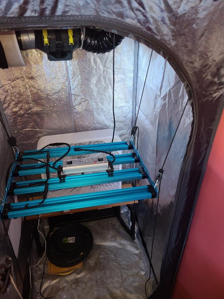 Kingbrite kweeksetup, Ophalen