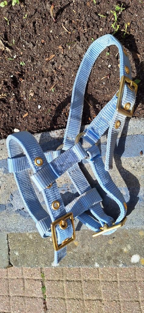 Veulen halster shet, Ophalen of Verzenden, Zo goed als nieuw, Overige soorten