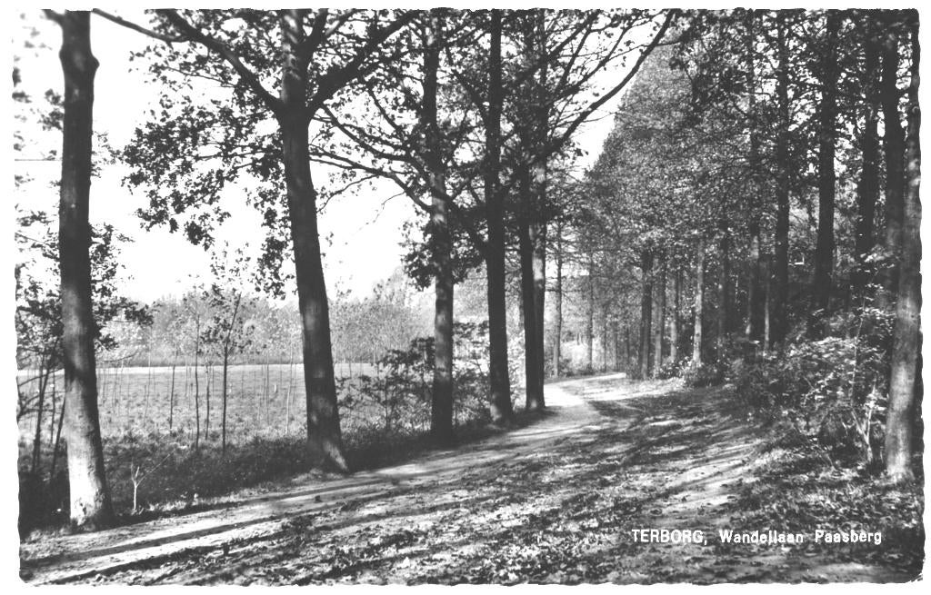991349 Terborg 1964 G Wandellaan Paasberg Gelopen met zegel
