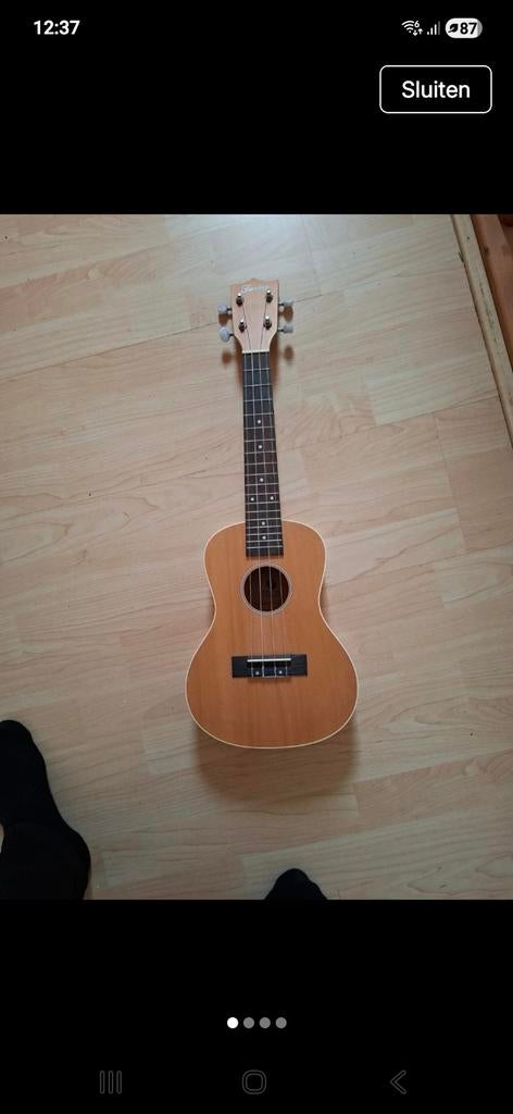 Ukelele, Muziek en Instrumenten, Ophalen of Verzenden, Nieuw, Overige typen