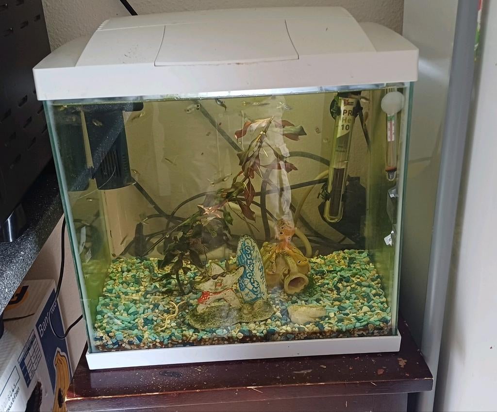 Aquarium compleet, Ophalen, Zo goed als nieuw, Gevuld zoetwateraquarium