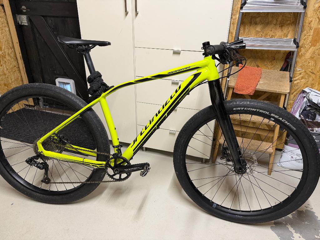 Specialized Rockhopper Expert – Lichtgewicht custom carbon, Gebruikt, Hardtail, Heren, 45 tot 49 cm