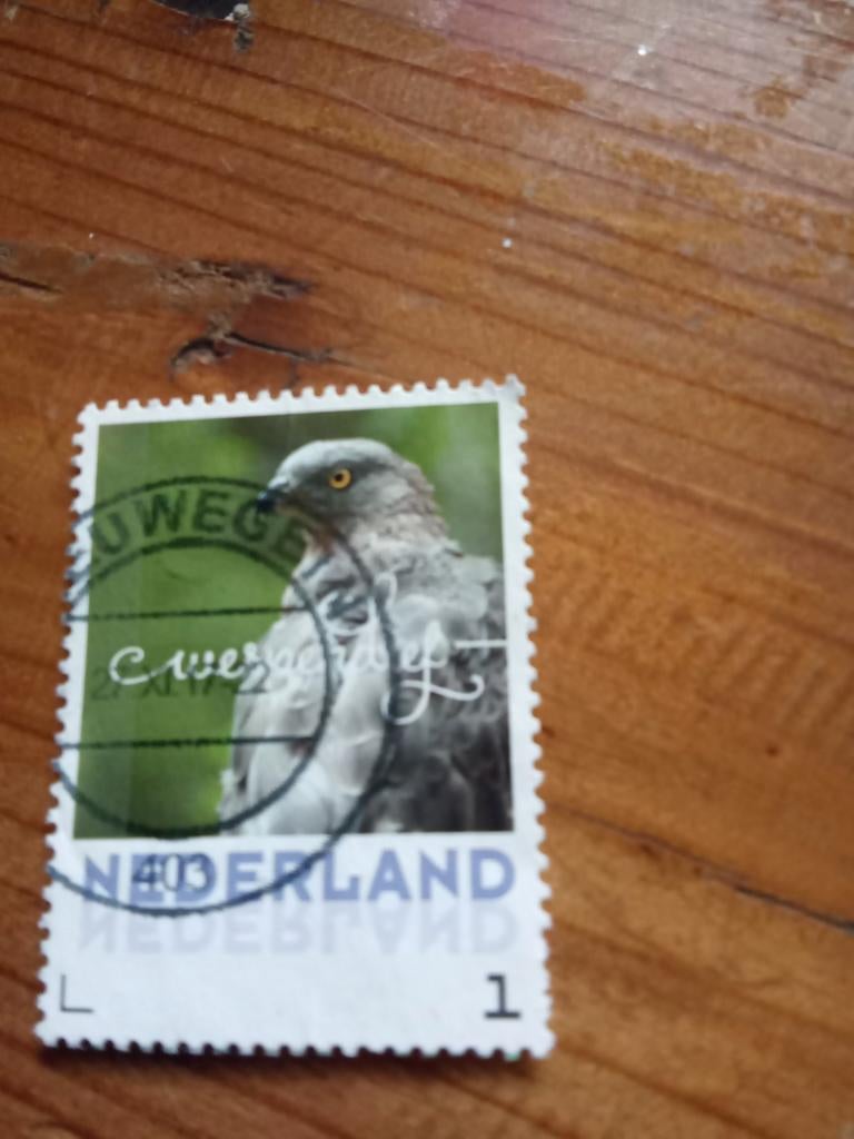 Nederlandse postzegel met de Wespendief, Ophalen of Verzenden, Na 1940, Gestempeld