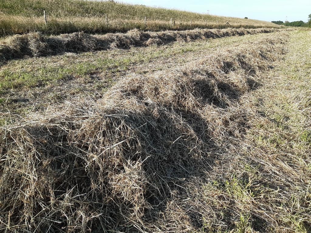 Paardenhooi stofvrij en geheel zonder onkruid, Ophalen of Verzenden, Vee