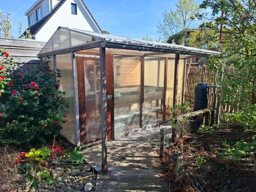 Grote kas voor je tuin, Tuin en Terras, Kassen, Ophalen
