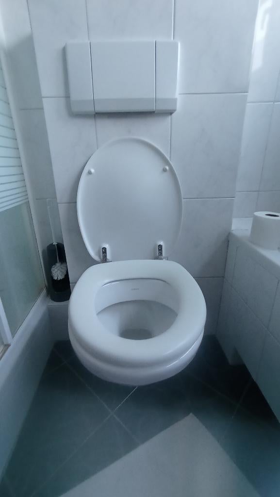 Complete hangend toilet gratis, Doe-het-zelf en Verbouw, Sanitair, Ophalen, Gebruikt, Toilet