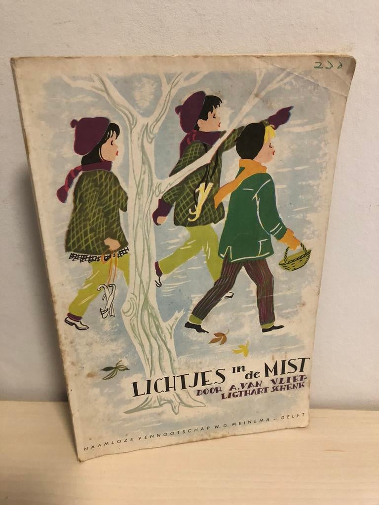 Lichtjes in de mist (zondagschool boekje ), Ophalen of Verzenden