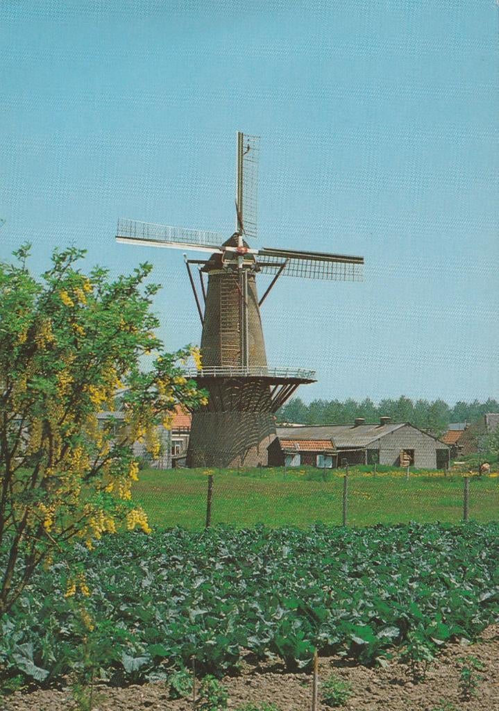 HEINKENSZAND Molen, Verzamelen, Verzenden, 1980 tot heden, Ongelopen, Zeeland