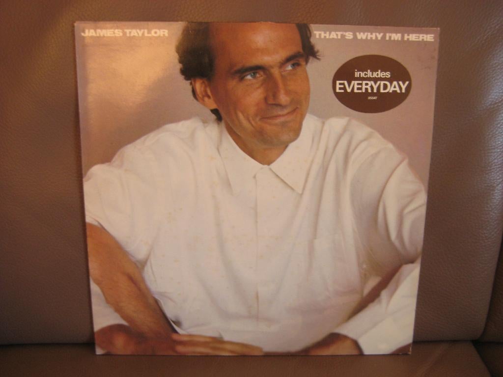 James Taylor  – That's Why I'm Here, Cd's en Dvd's, Vinyl | Pop, Ophalen of Verzenden, Zo goed als nieuw, 12 inch