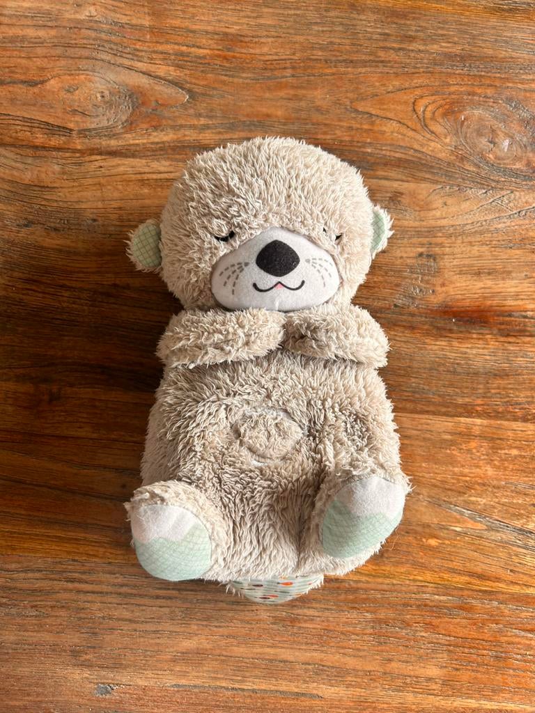 Fisher-Price Bedtijd Otter - Slaapknuffel, Kinderen en Baby's, Speelgoed | Fisher-Price, Ophalen of Verzenden, Zo goed als nieuw