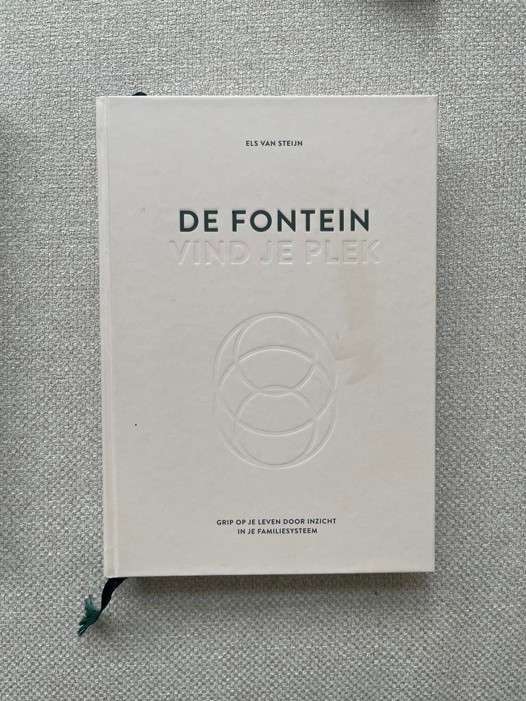 De Fontein, Vind Je Plek - Els van Steijn (Boek), Boeken, Ophalen of Verzenden, Zo goed als nieuw