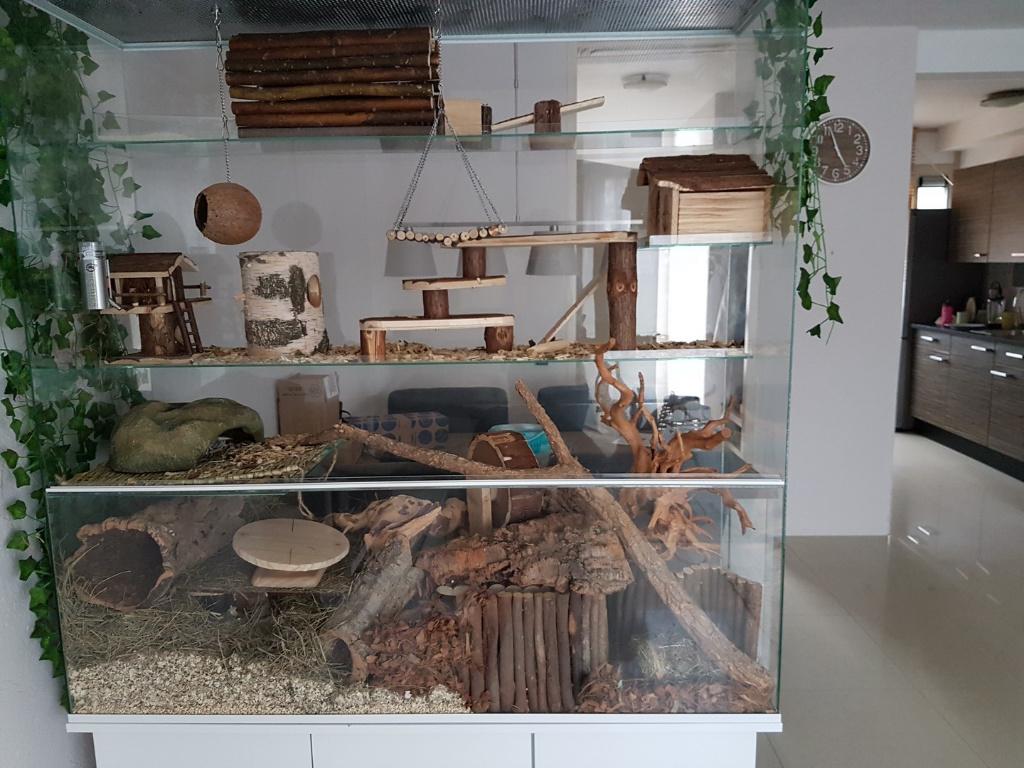 Terrarium voor knaagdieren met witte profielen, Minder dan 60 cm, Nieuw, Ophalen of Verzenden, 75 tot 110 cm