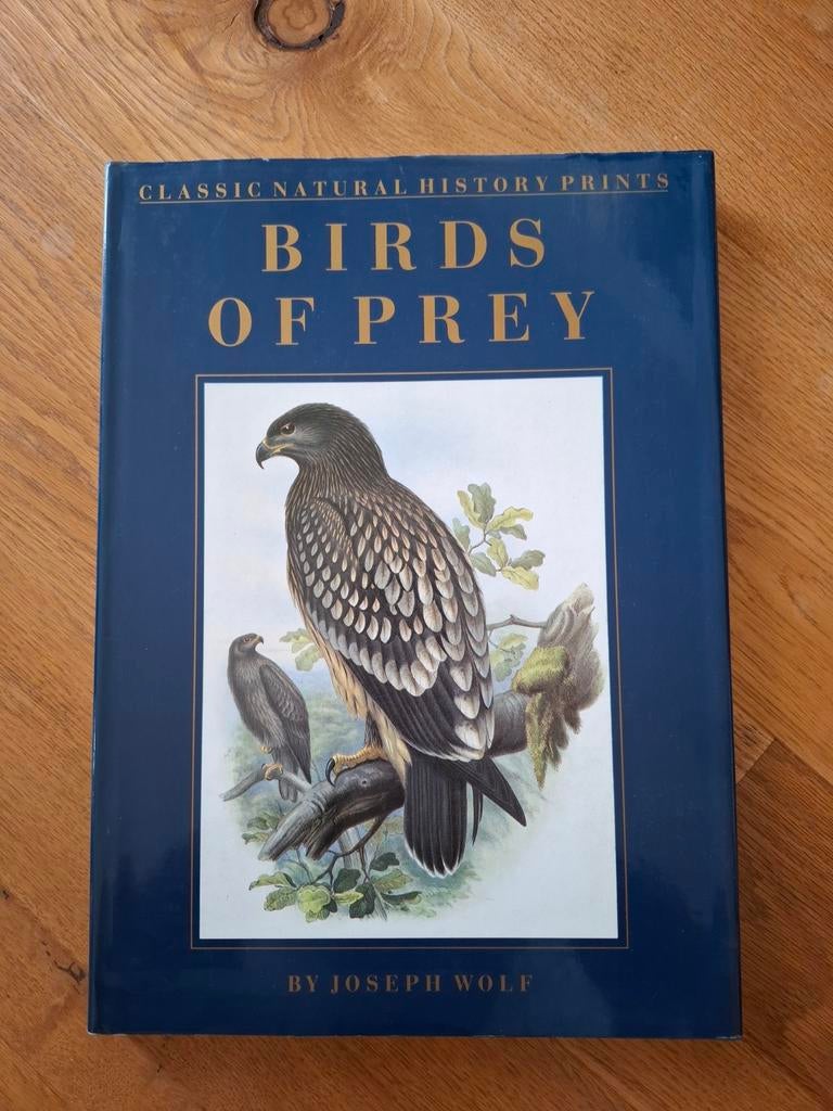 Birds of Prey - Klassieke Natuurhistorische Prenten, Boeken, Ophalen