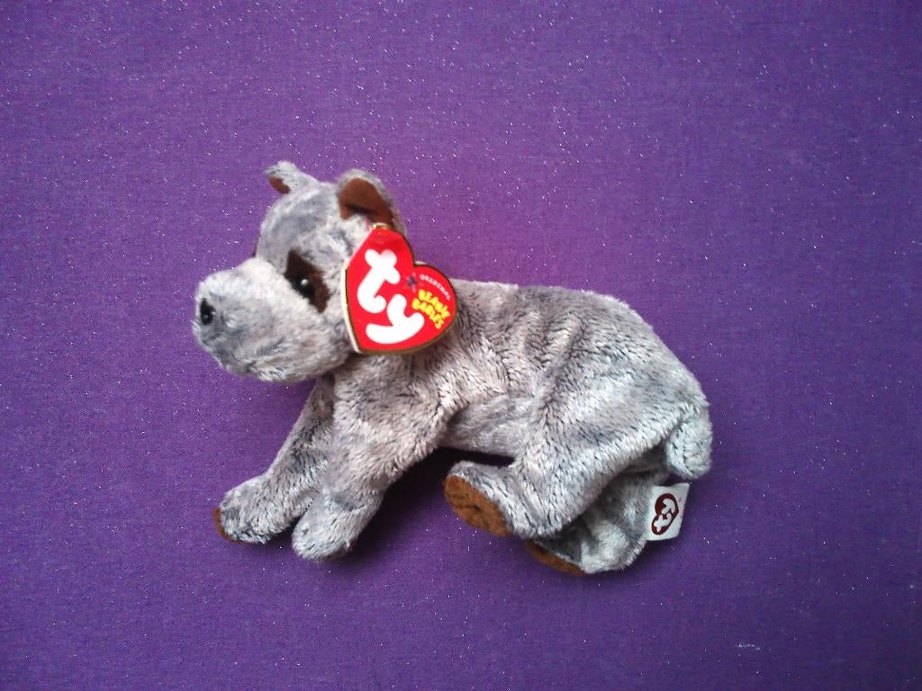 TY THE BEANIE BABIES COLLECTION Knuffel HOND HECTOR UIT 2005, Ophalen of Verzenden, Nieuw, Hond