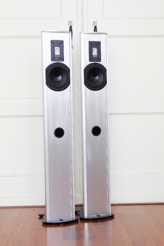 Piega P4L MK2 speakers. Tweeters defect, Gebruikt, -, -, 60 tot 120 watt