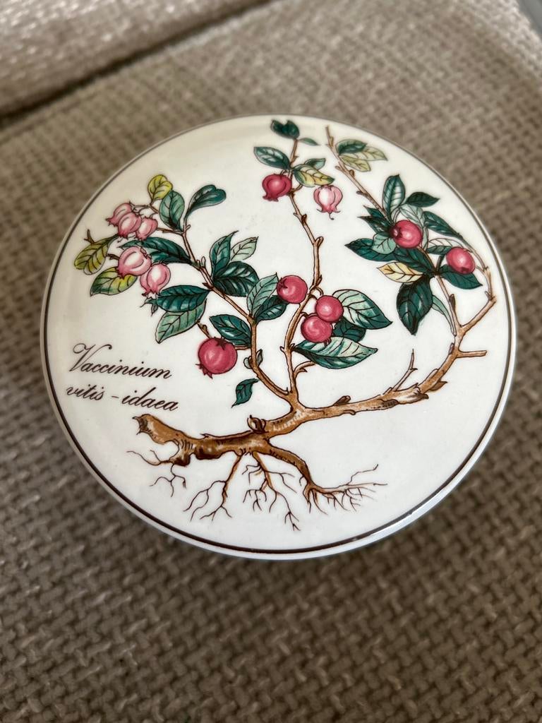 Villeroy & Boch Botanica doosje Vaccinium vitis-idaea, Ophalen of Verzenden