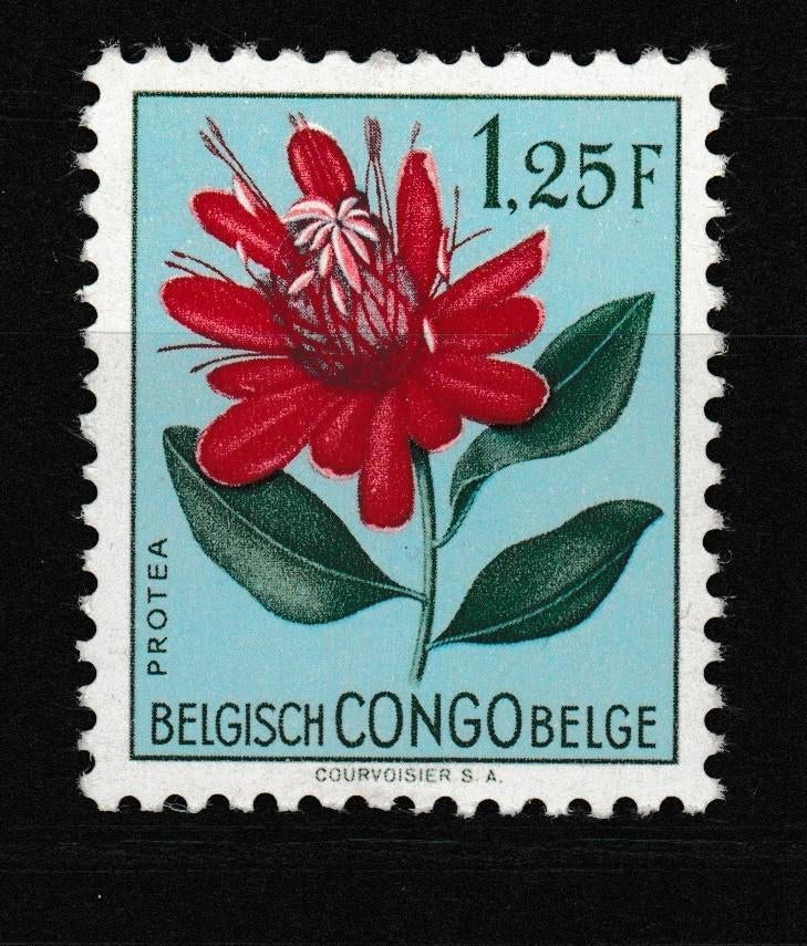 Belgisch Congo 1952 Protea 1.25 F **, Ophalen of Verzenden, Overige landen, Postfris