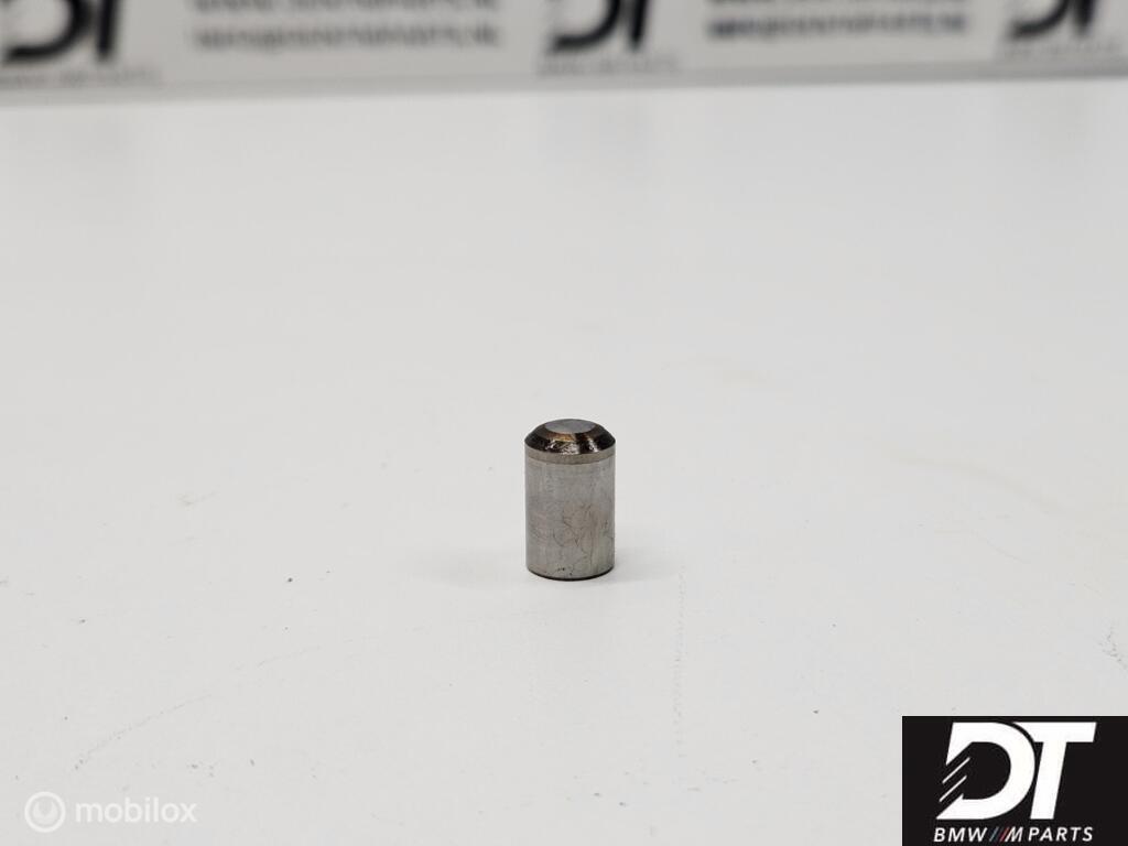 Vanos olie pomp zuiger BMW S54 S62 S50B32, Gebruikt, Ophalen of Verzenden