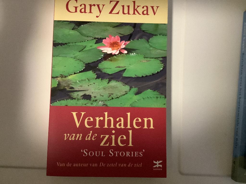 Verhalen van de ziel., Ophalen of Verzenden, Zo goed als nieuw, Gary Zukav