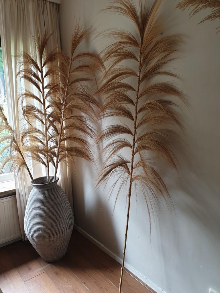Grote pluimen  - gras - boho - bohemian  - 240 cm hoog, Ophalen, Nieuw