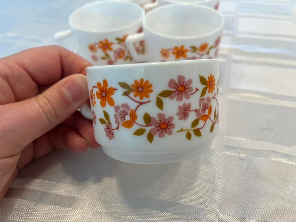 Arcopal Scania 5 koffiekopjes, Ophalen of Verzenden