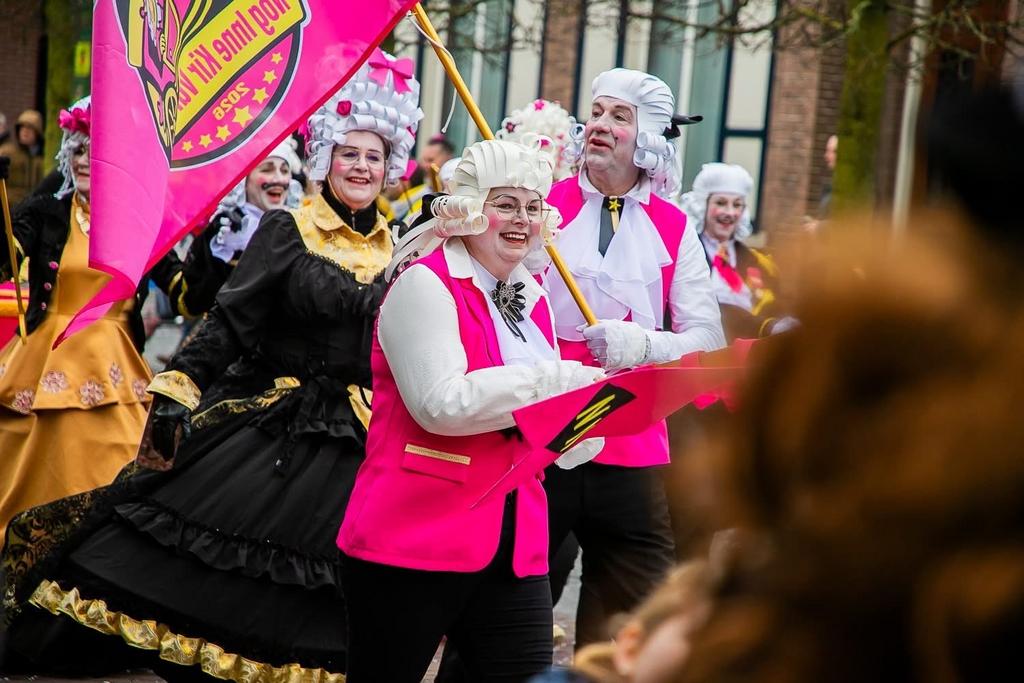 Carnavalskleding Renaissance stijl - complete groep (28 pers, Ophalen, Carnaval, Maat 46/48 (XL) of groter, Kleding