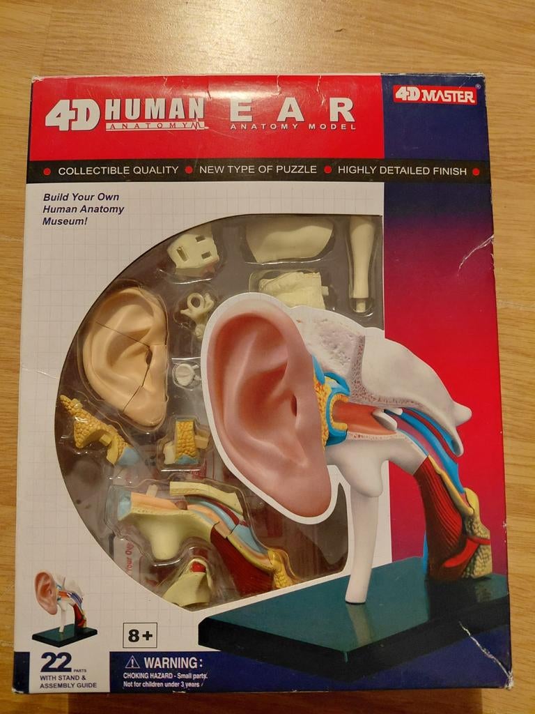 Anatomisch menselijk OOR puzzle op standaard ongebruikt, Ophalen of Verzenden, Minder dan 500 stukjes, Nieuw