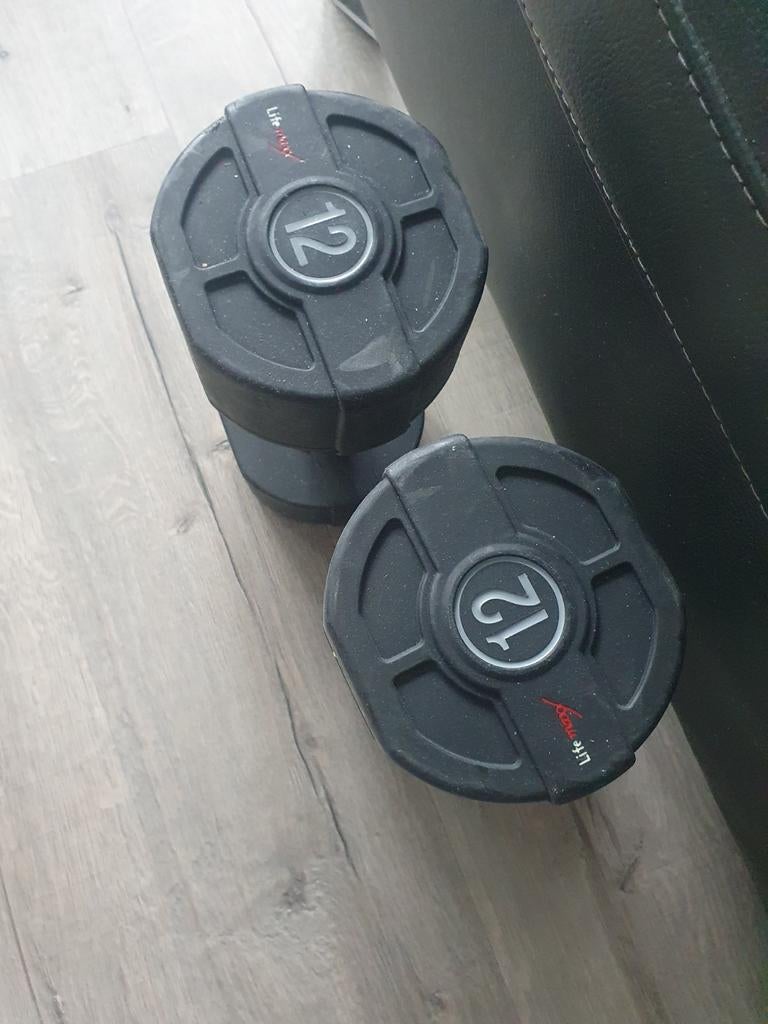 Te koop: Set Lifemaxx dumbells 12 kg, Ophalen
