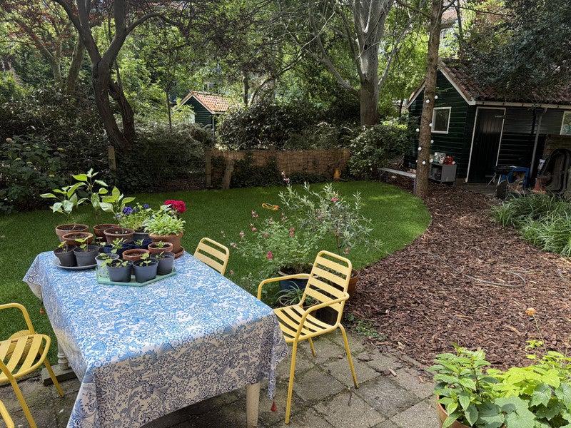 NIEUW! Woonruimte te huur Cornelis Krusemanstraat, Amsterdam