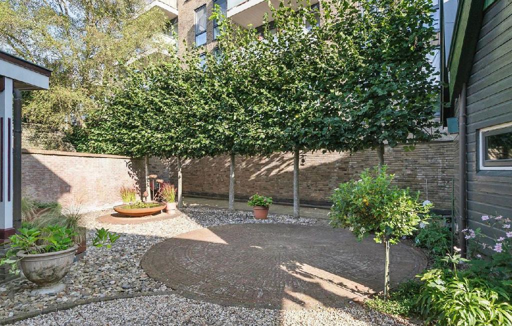 5x leilinde 5m hoog 50cm stamomtrek, Bloeit niet, Leiboom, 400 cm of meer, Ophalen