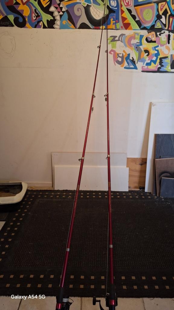 T.KA 2 NETTE SHAKESPEARE KARPERHENGELS +MOLENS+ NIEUW VISSPU, Watersport en Boten, Ophalen, Zo goed als nieuw, Complete set