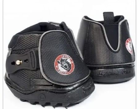 Equine fusion hoefschoenen mt 14 en 15, Ophalen of Verzenden, Springen