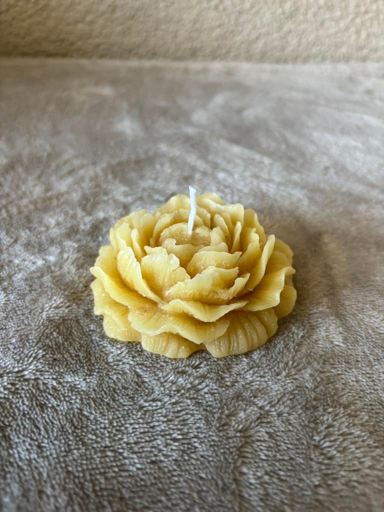 Diverse handgemaakte kaarsen, Ophalen of Verzenden, Zo goed als nieuw, Overige materialen, Minder dan 25 cm