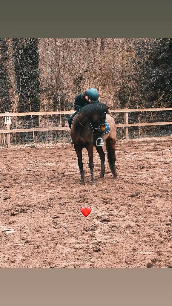 verzorg pony GEZOCHT!, Ophalen of Verzenden