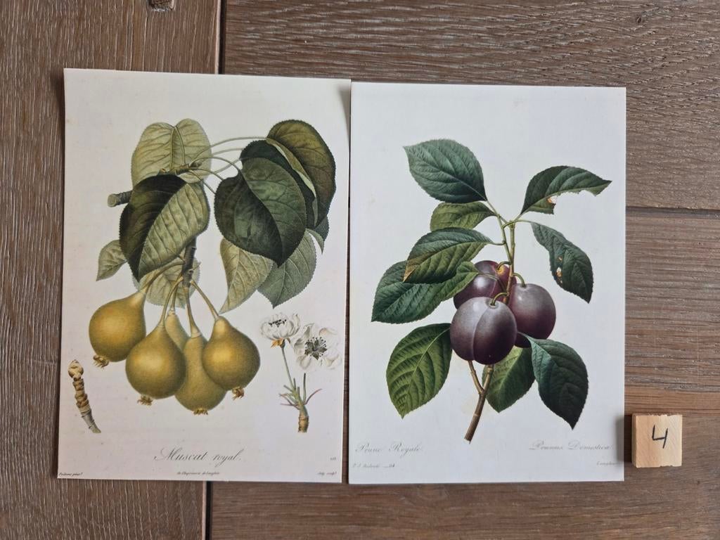 OPRUIMING FRUIT 4, Ophalen, Overige thema's