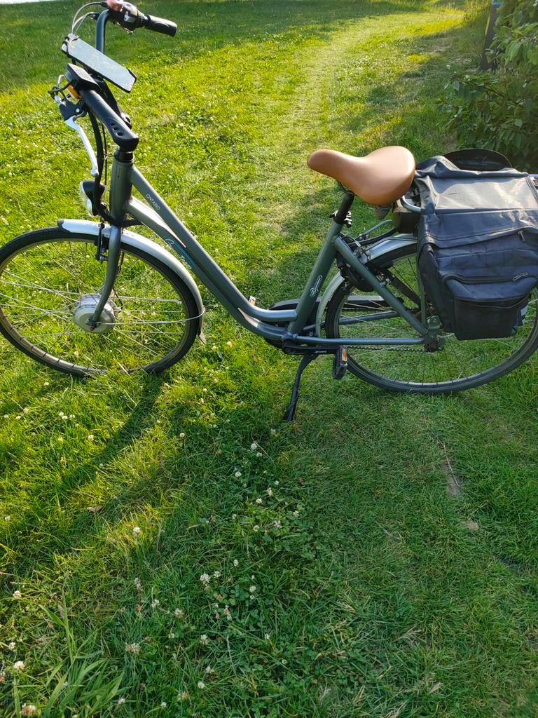 Elektrische Fiets Ontario Green Team E-Bike, 55 tot 59 cm, Ophalen, Gebruikt, 30 tot 50 km per accu