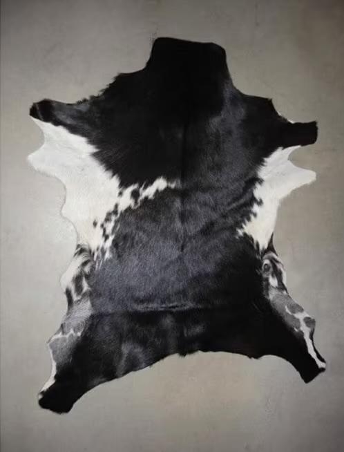 Mooie geitenhuiden vachten landelijk naturalia taxidermie, Verzamelen, Dierenverzamelingen, Ophalen of Verzenden, Nieuw, Wild dier