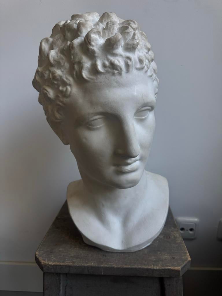 Adonis hoofd - Klassiek beeld, Ophalen of Verzenden