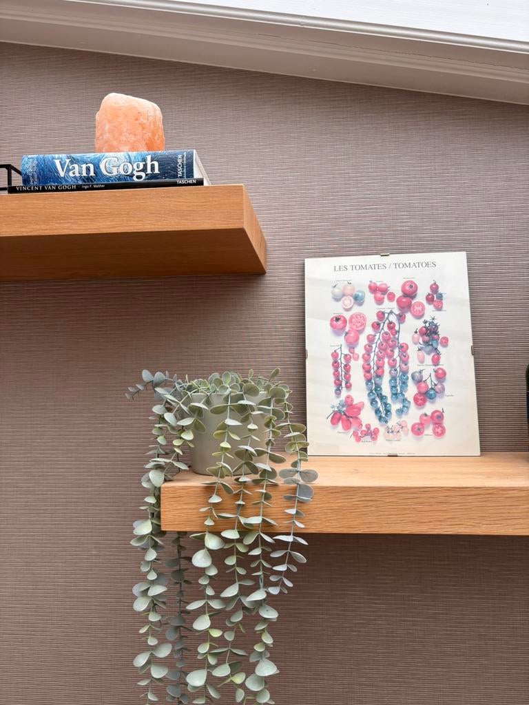 Vintage botanische tomaten poster “Les Tomates / Tomatoes”, Verzamelen, Posters, Gebruikt, Ophalen of Verzenden