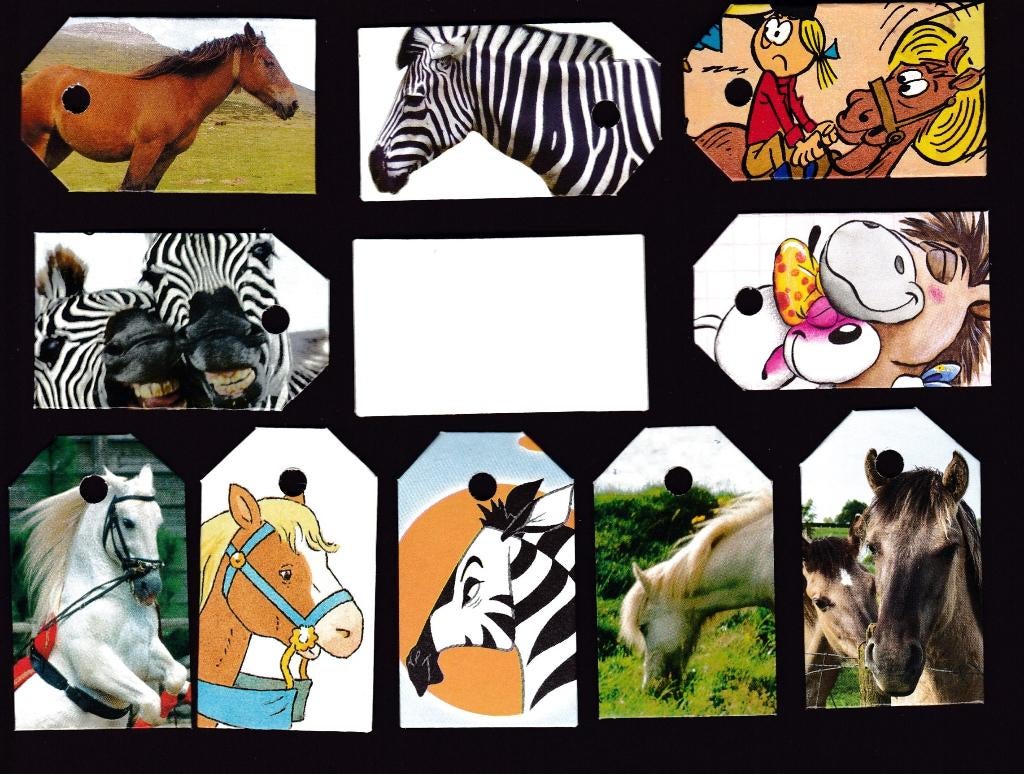 0053) paarden, ezels en zebra's labeltjes, Ophalen of Verzenden, Zo goed als nieuw, Paard, Overige typen