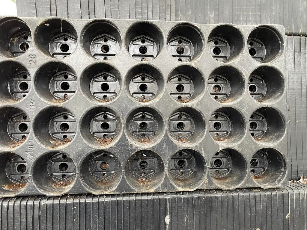Kweektray p7 gebruikt, Tuin en Terras, Ophalen of Verzenden, Overige soorten, Volle zon